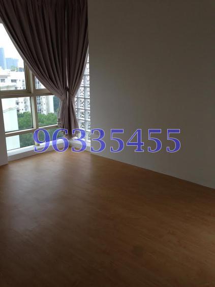 Parc Palais (D21), Condominium #77896702